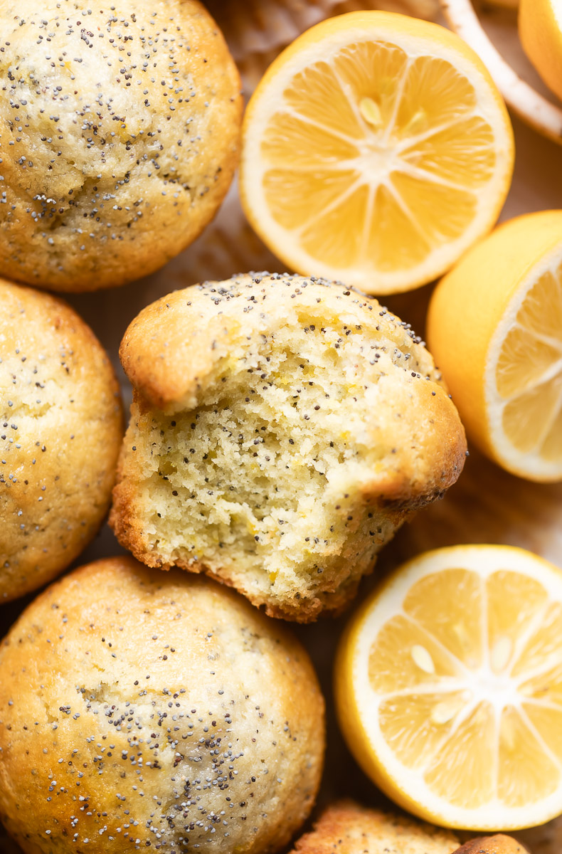 lemon poppy seed muffins recipe